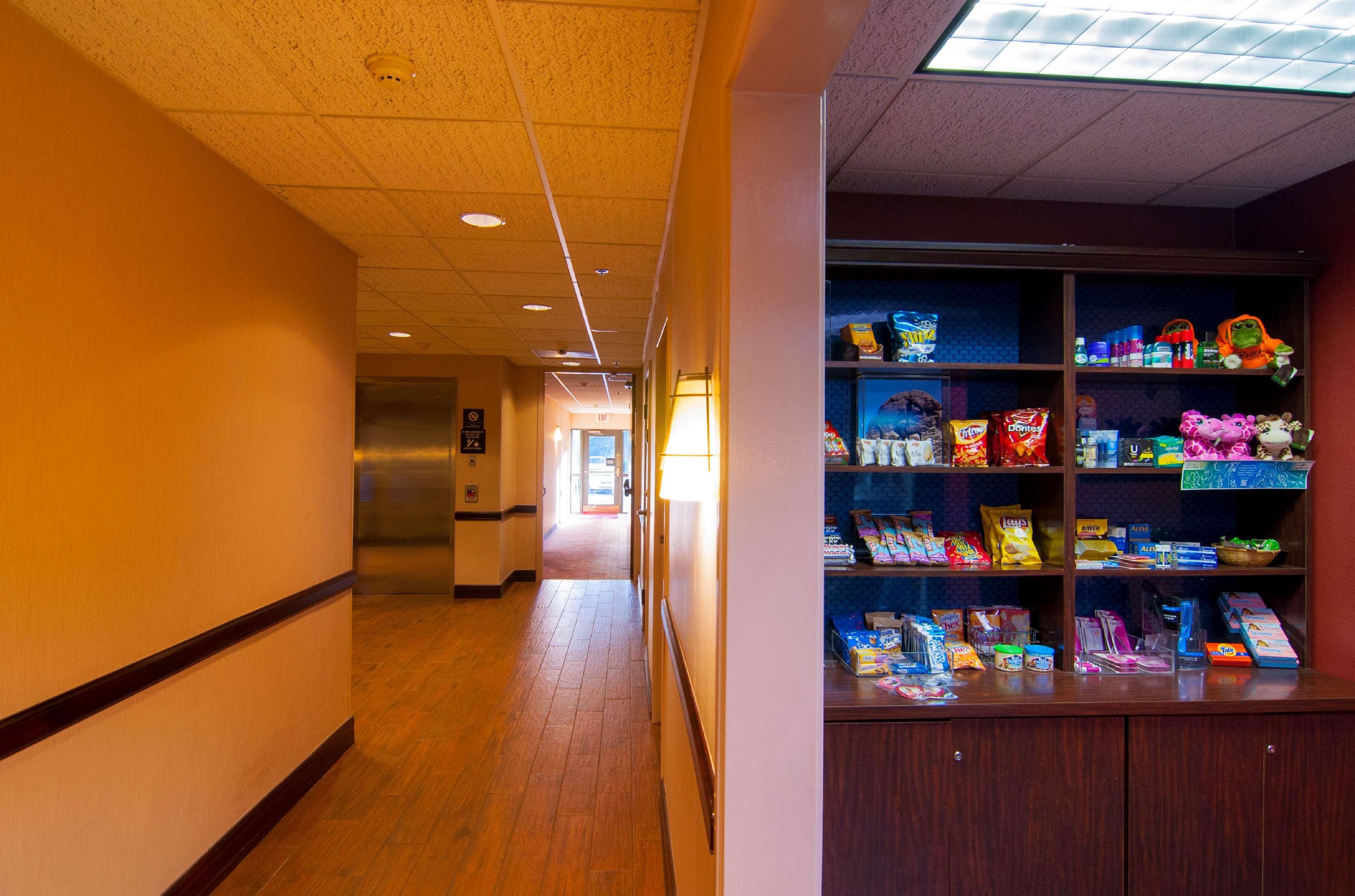 Hampton Inn & Suites Tampa-North Luaran gambar