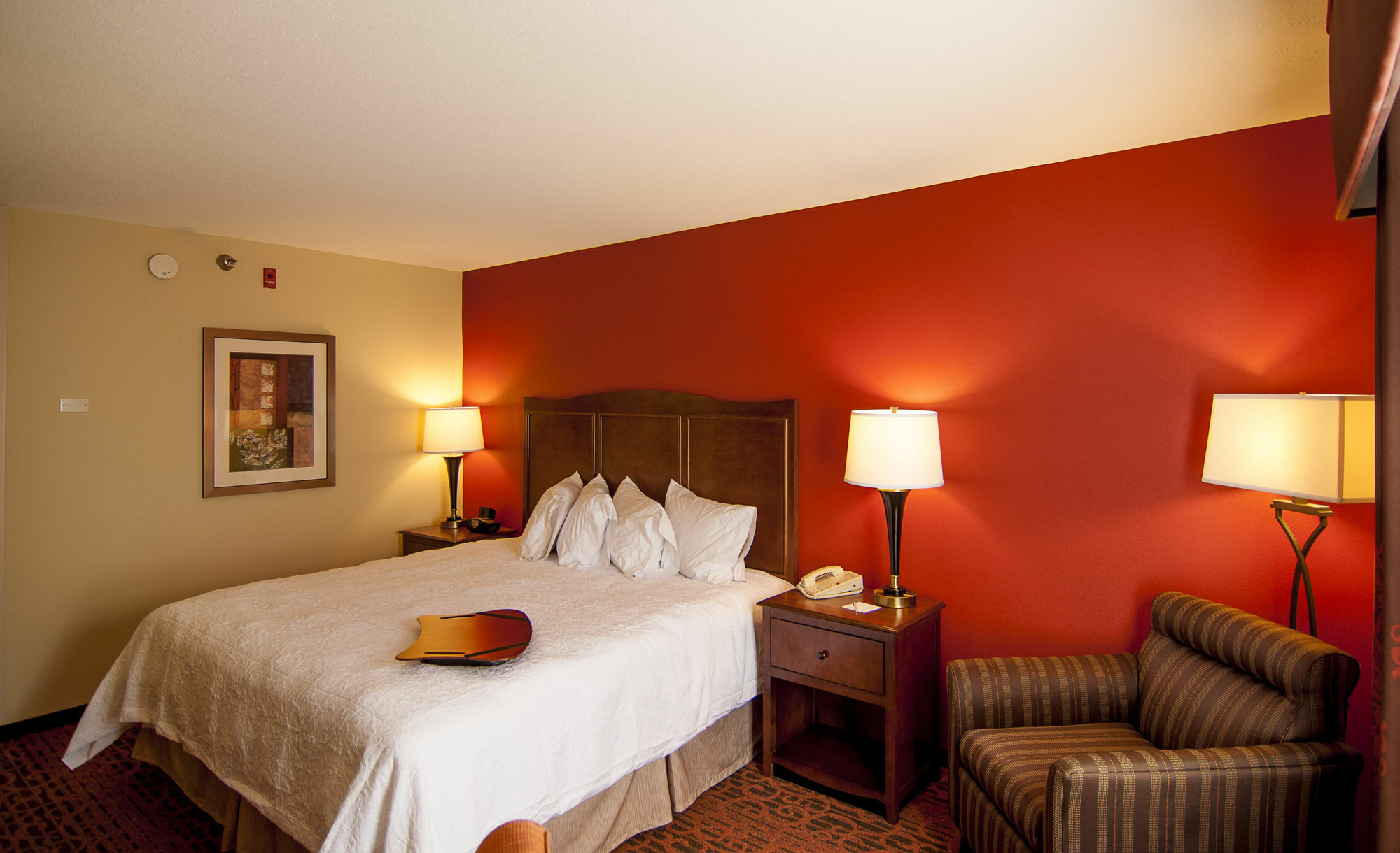 Hampton Inn & Suites Tampa-North Luaran gambar