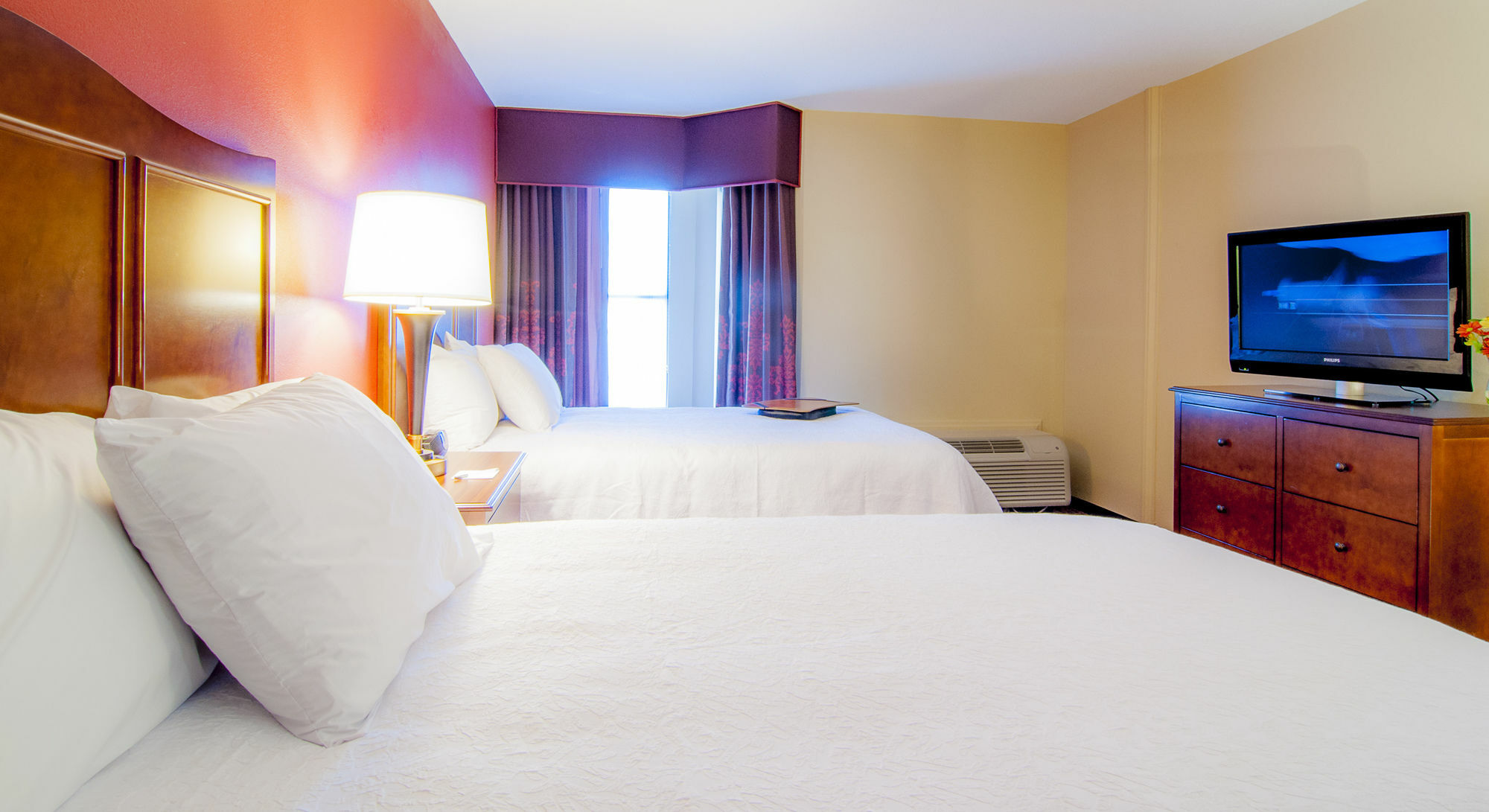Hampton Inn & Suites Tampa-North Luaran gambar